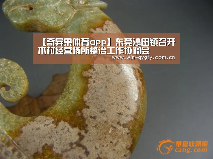 奇异果体育app
