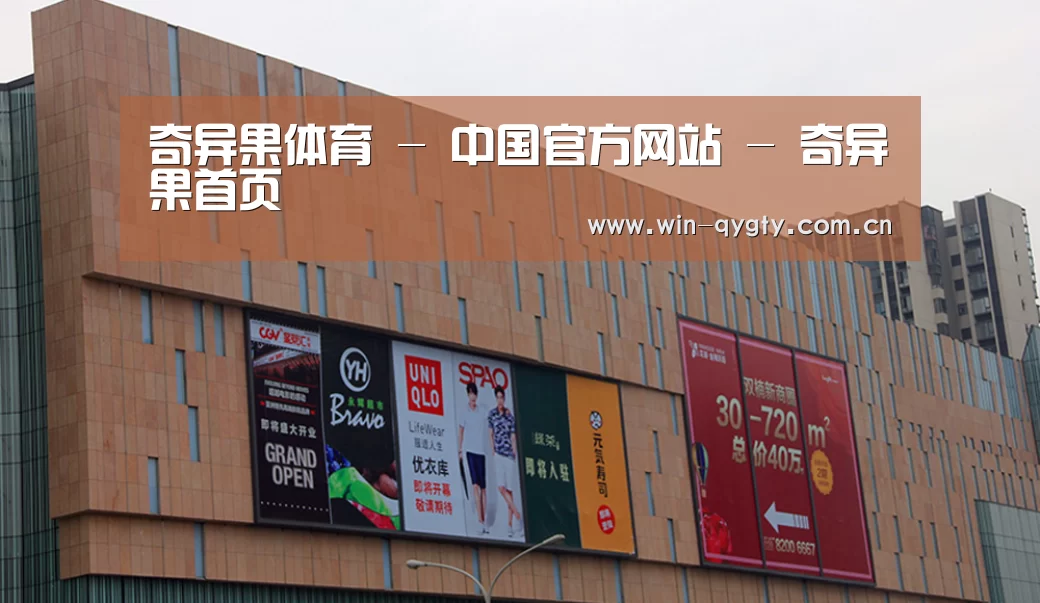 龙湖 · 金楠天街(图1)