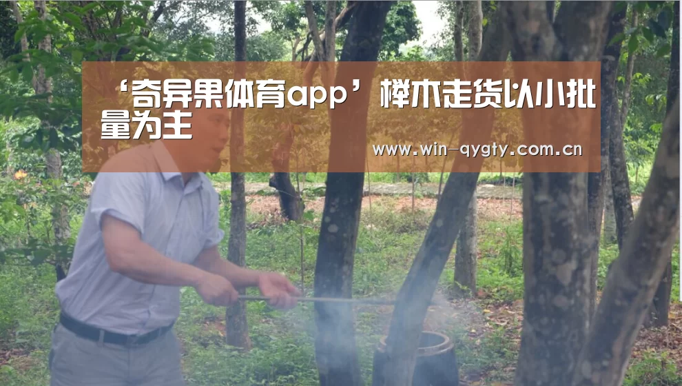 ‘奇异果体育app’榉木走货以小批量为主(图3) 奇异果体育